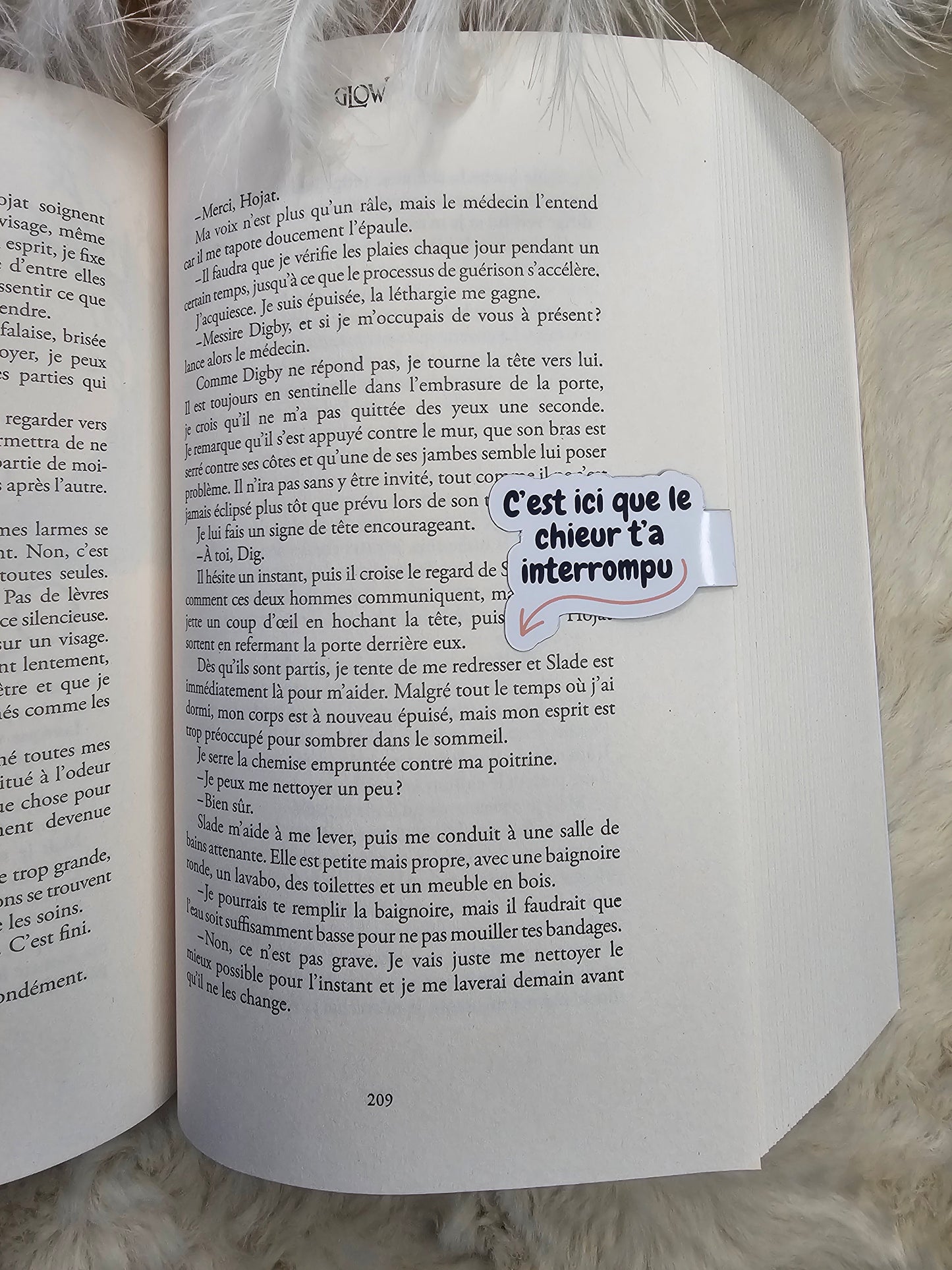 Marque-page magnétique "le chieur"